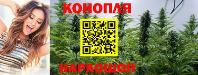 СК Дубна