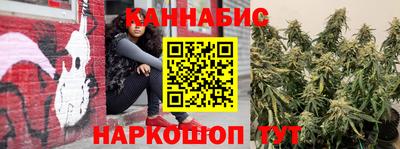 СК Дубна