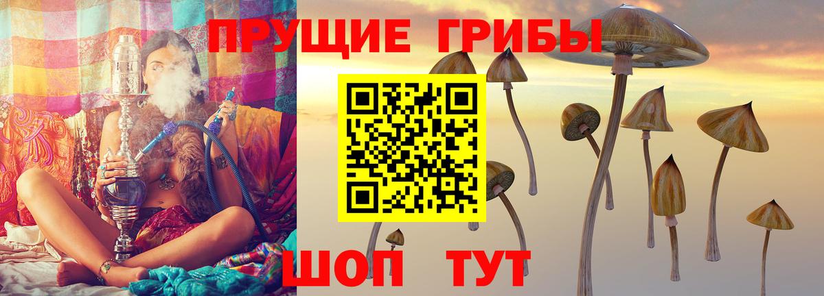 Галлюциногенные грибы Psilocybe  Вход с VPN  Миллерово 